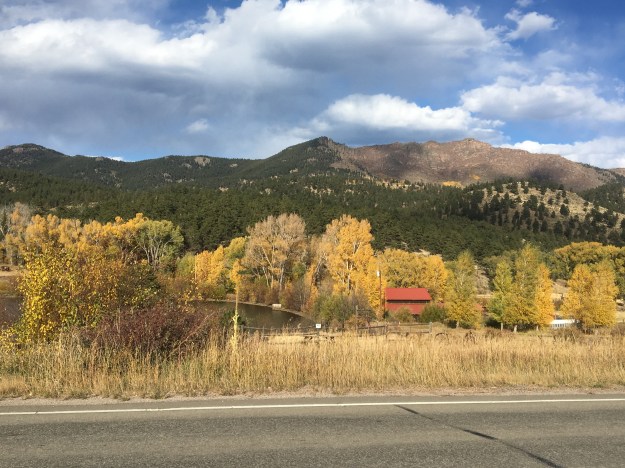 A9487C64-B667-4D02-8AE3-0627ED62852D